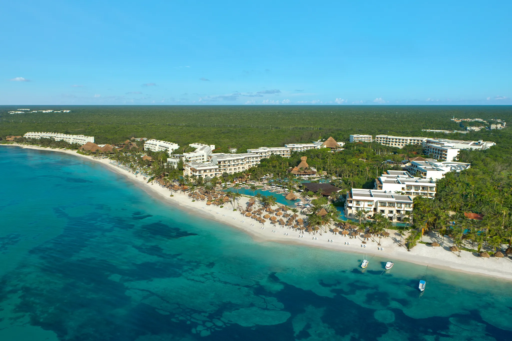 Secrets Akumal Riviera Maya adults-only all-inclusive resort with beachfront pools, jungle surroundings, and sea turtle snorkeling near Tulum.